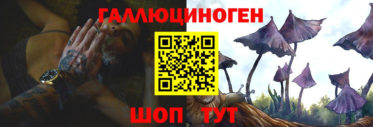 Галлюциногенные грибы GOLDEN TEACHER  Вход с VPN  Ульяновск 